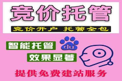 百度竞价托管服务，提升广告投放ROI的秘诀